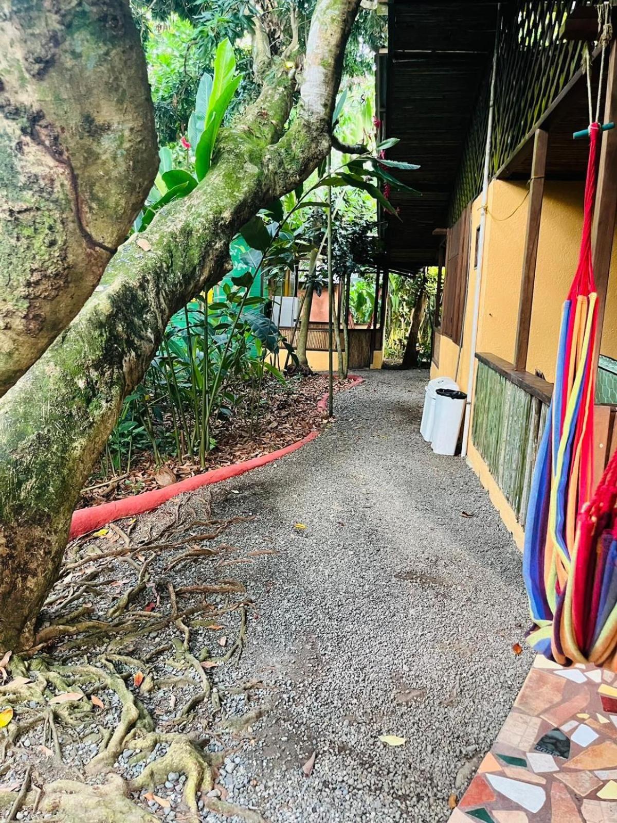 Puerto Viejo de Talamanca La Casa De Rolando 빌라 외부 사진