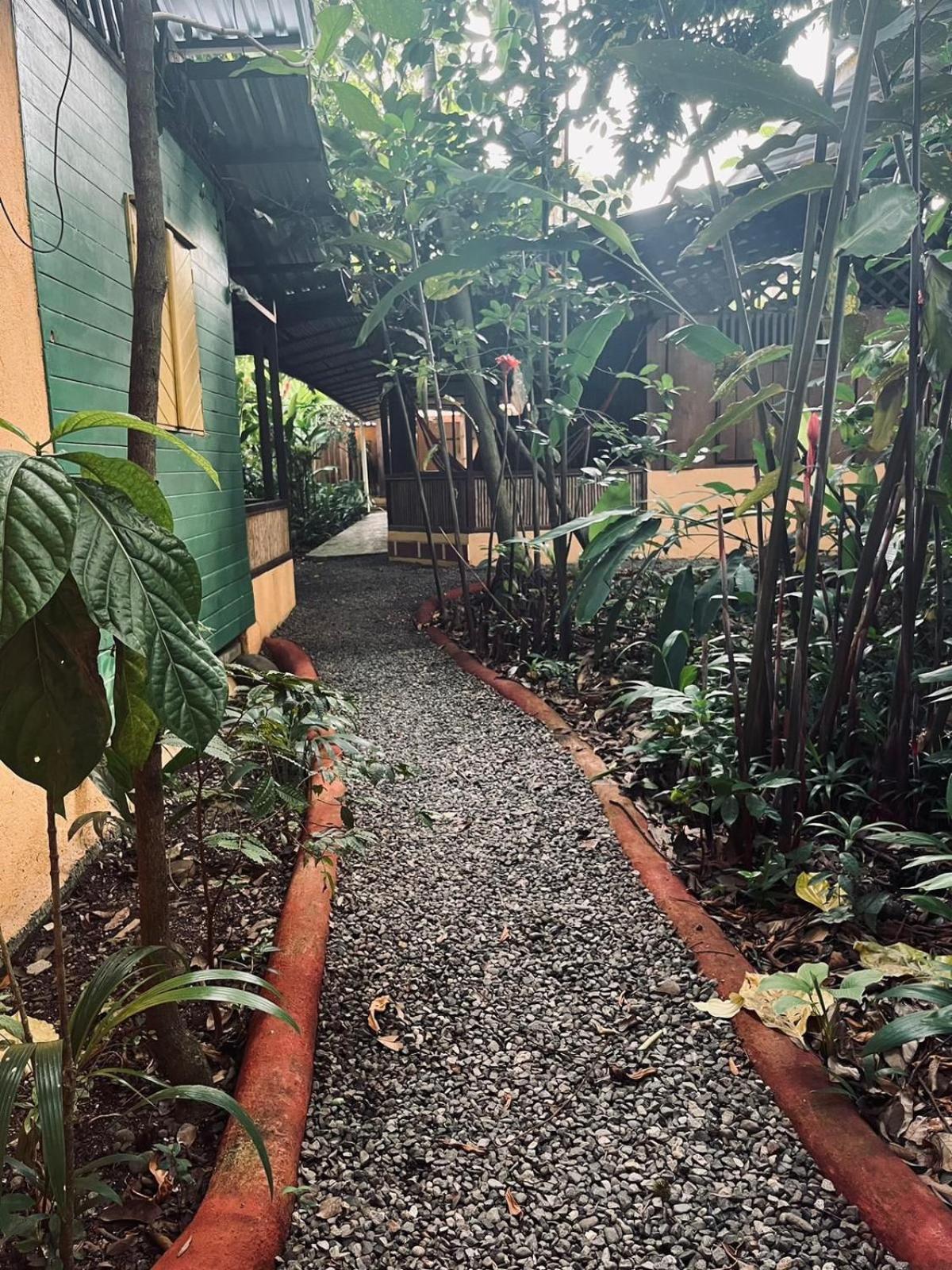 Puerto Viejo de Talamanca La Casa De Rolando 빌라 외부 사진