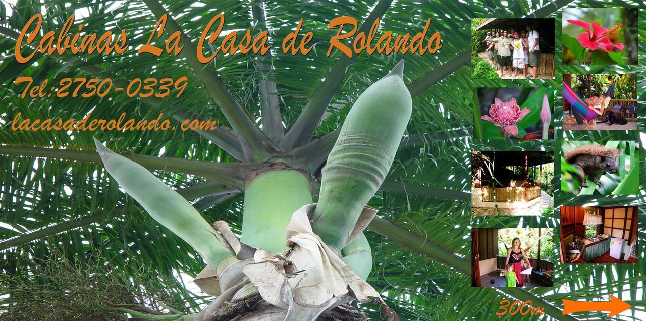 Puerto Viejo de Talamanca La Casa De Rolando 빌라 외부 사진